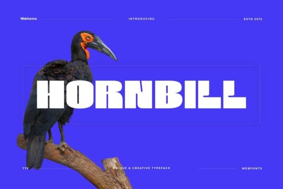 Hornbill: The Bold Display Font for Modern Design