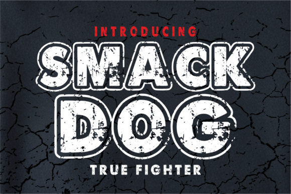 Smack Dog: The Font That Brings Knockout Energy
